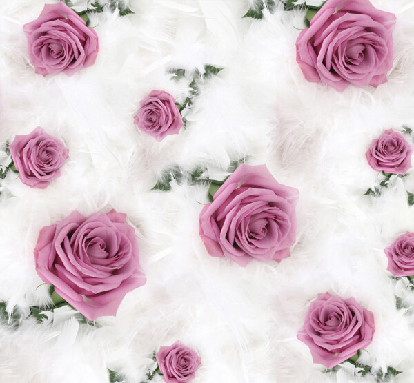 粉色玫瑰装饰画素材