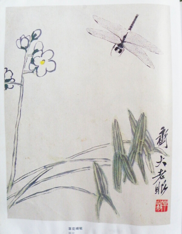 齐白石国画草花蜻蜓图片