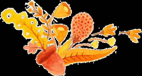 松果花卉图片素材