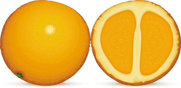 柑橘类水果1