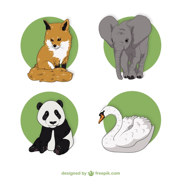 野生动物插图