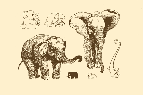 动物图案大象图片