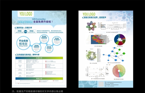 基因DNA微生物多样性单页