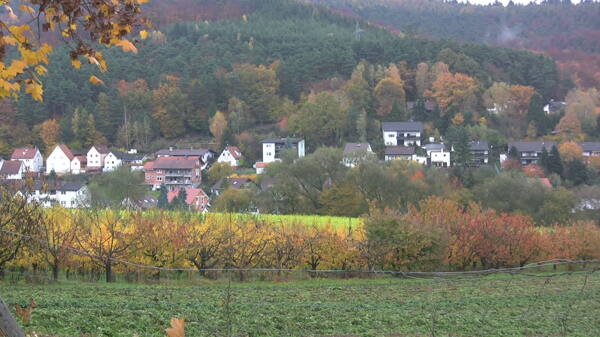 德国村庄下跌股票的录像视频免费下载