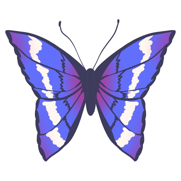 昆虫蝴蝶蓝色