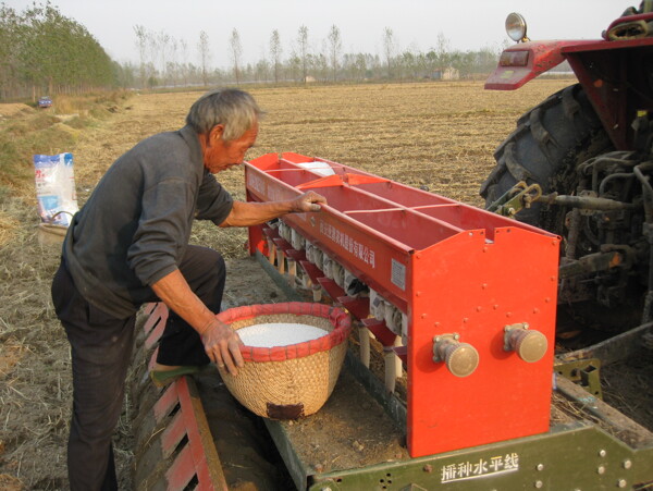 拖拉机播种小麦图片