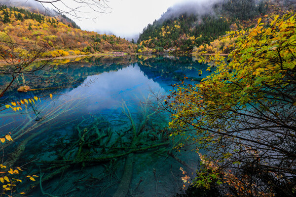 九寨沟五花海图片