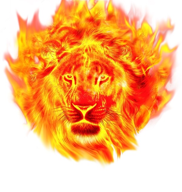 火烧狮子头