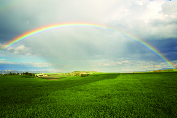 草地彩虹图片