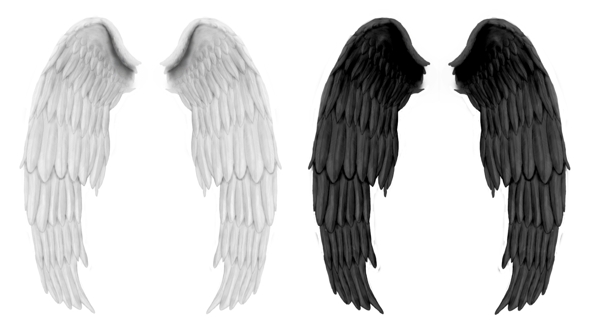 白色和黑色翅膀图片