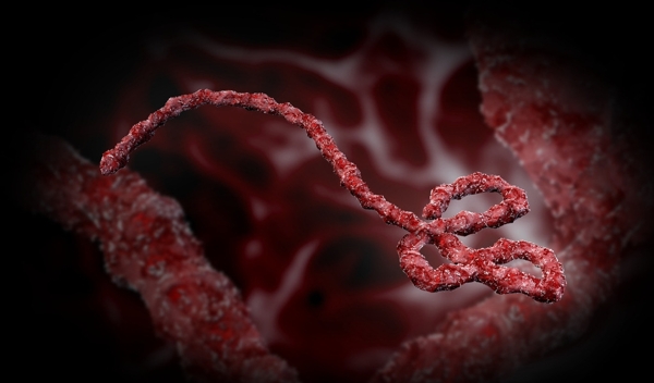 炫酷埃博拉病毒图片