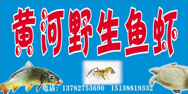 黄河野生鱼虾展版图片