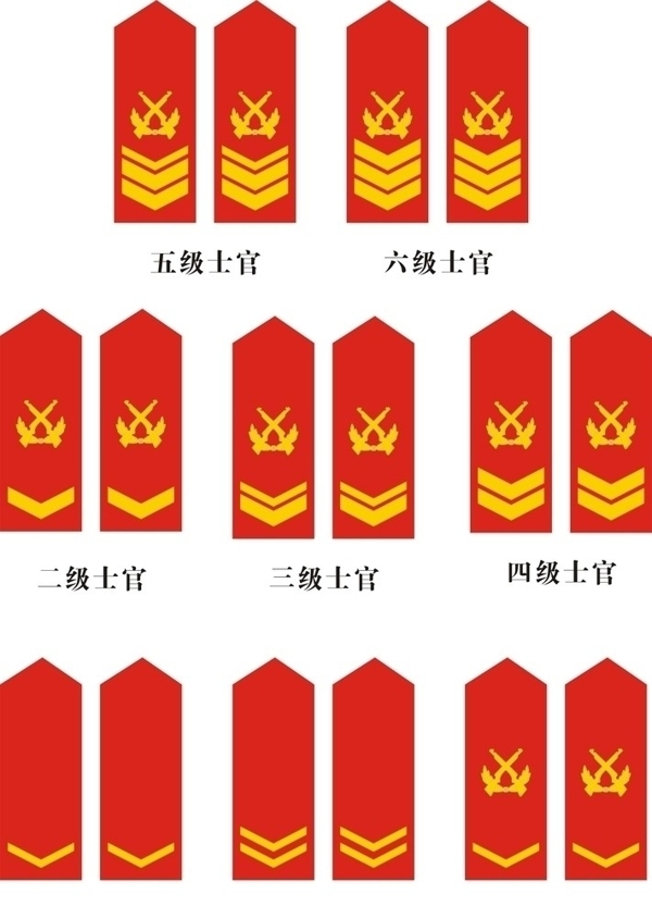 中国人民武警士官常服肩章图片