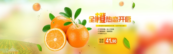 脐橙橙子橙子海报橙子展架