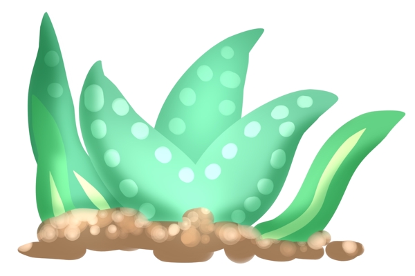 绿色海草植物