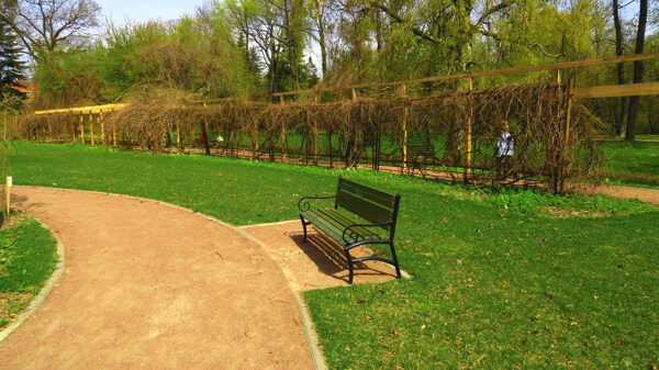 公园里的长椅图片