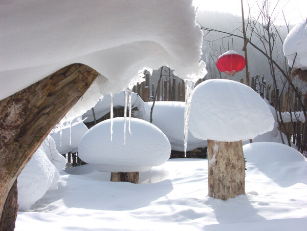 雪乡图片