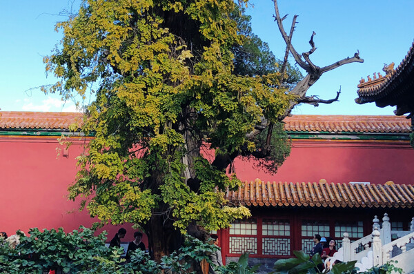 北京故宫花园