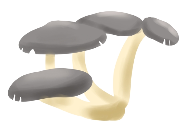 食材蔬菜蘑菇插画