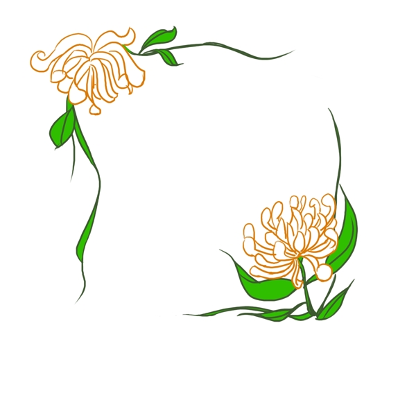 菊花植物花卉花束边框插画