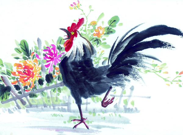 国画公鸡花卉植物图片