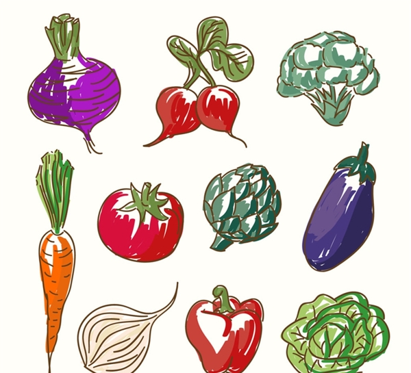 彩绘蔬菜矢量素材