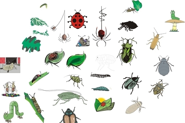农药虫子卡通虫子图片