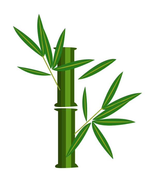 笔直的绿色竹子插画