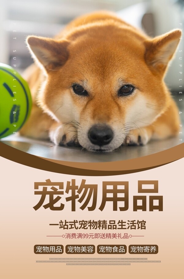 宠物用品海报