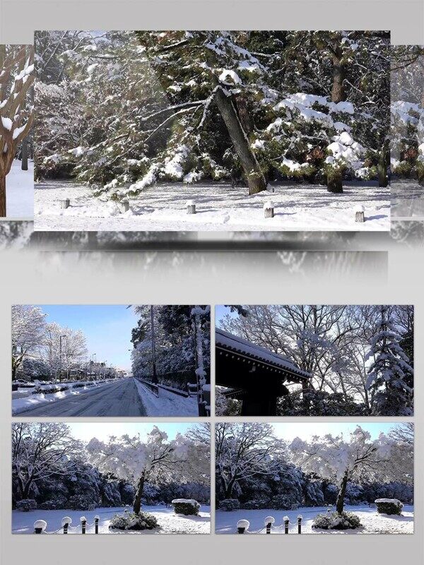 4K视频下雪雪景视频素材