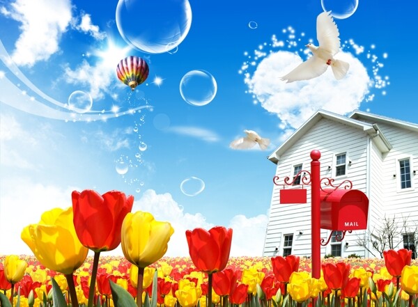 我们一家子泡泡房子气球鲜花