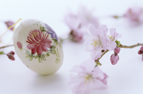 鲜花与复活节彩蛋图片