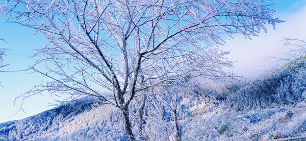 冬天雪景雪景大雪