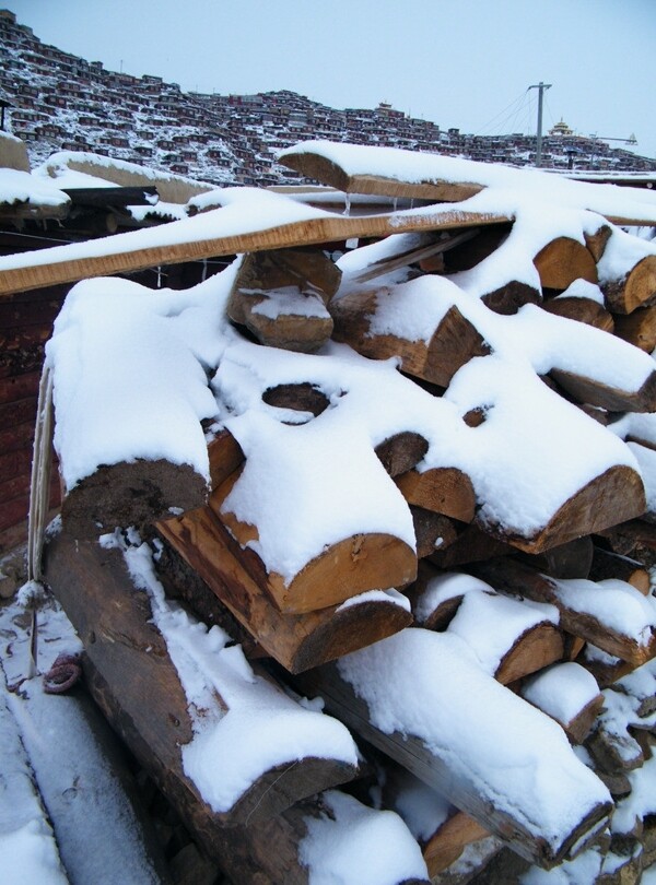 色达五明佛学院积雪的木材图片