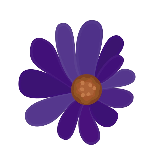 紫色的花元