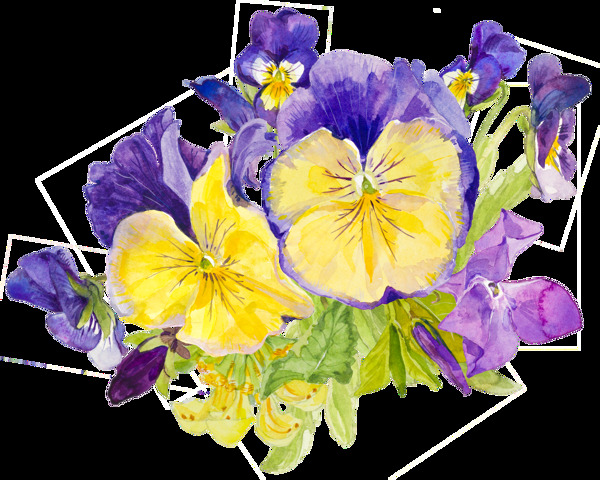 紫黄色花朵水彩手绘透明素材