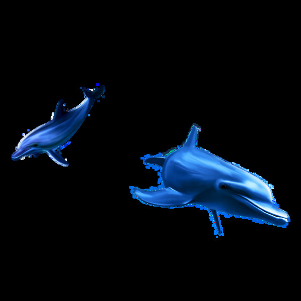 蓝色海豚png元素