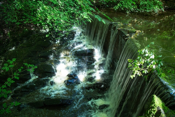 森林风景