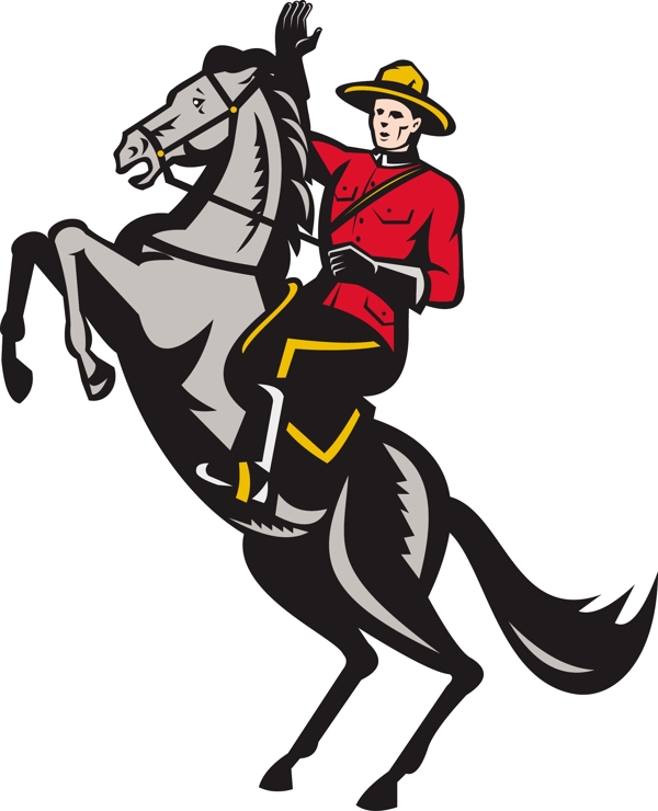 加拿大骑警皇家骑警骑的马