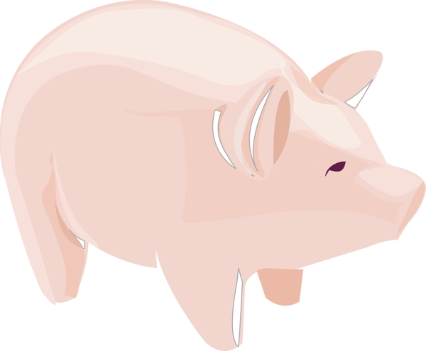 插画动物猪肥猪