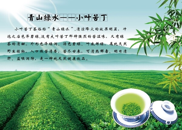 茶