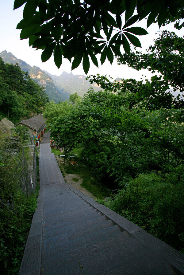 湖北武当山风景