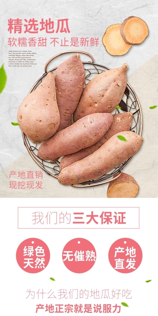 红薯食品电商详情页模板