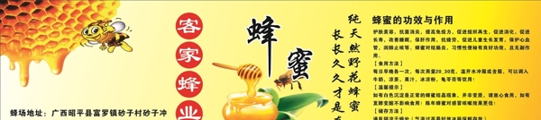 蜂蜜饮料枣花蜜葵花蜜