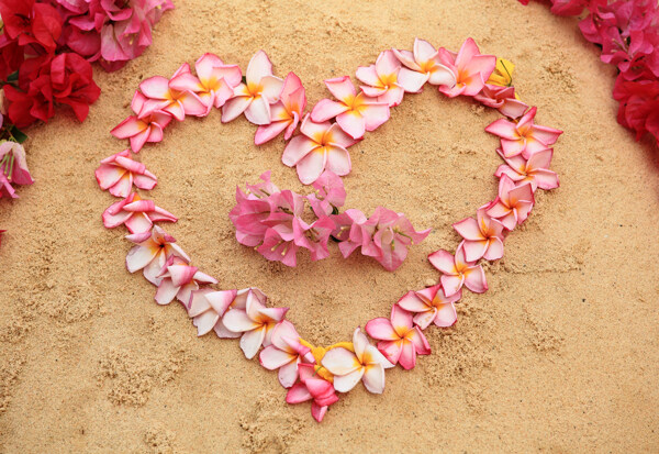 沙滩上的粉色心形花朵图片