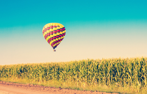 玉米地上空的热气球