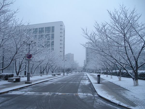 同济大学医学楼雪景图片
