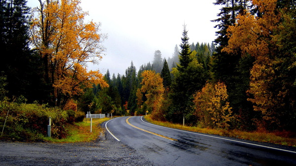 秋季公路