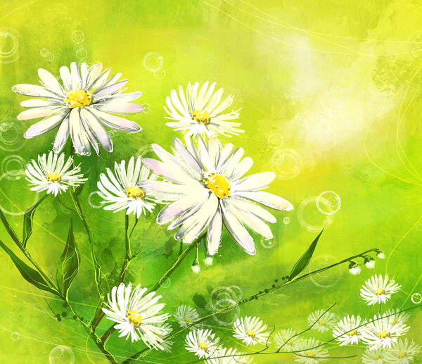 绿色韩国花朵背景