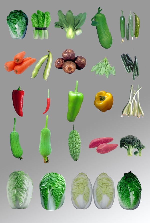 一组蔬菜写实图片